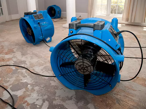 Water Damage Reconstruction in Lovejoy
