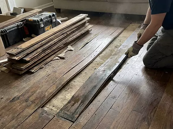 Water Damage Drying in Lovejoy