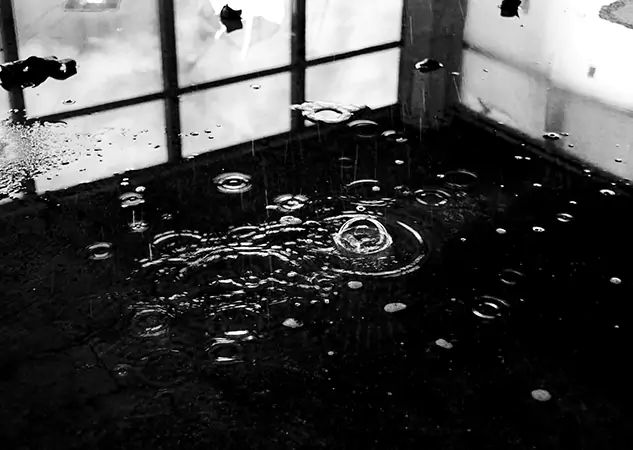 Your Contaminated Water Removal Specialists in Lovejoy, GA