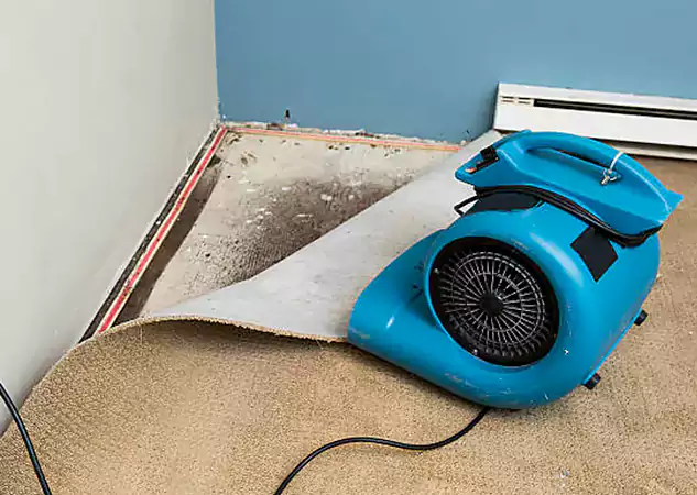 Your Water Damage Experts in Lovejoy, GA
