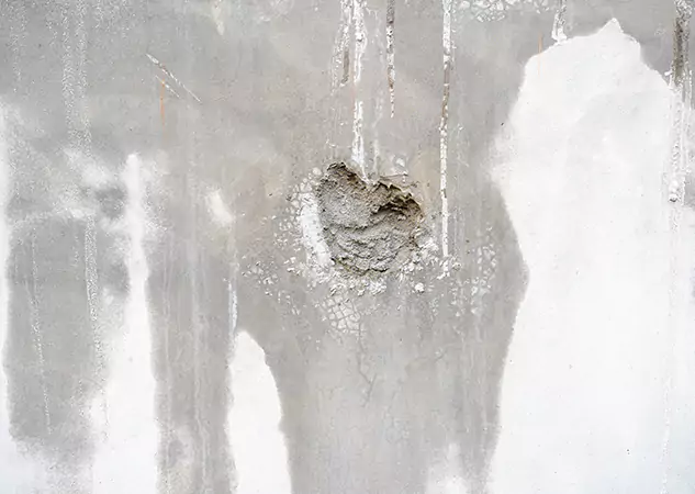 Your Mold Mitigation Solutions Partner in Lovejoy, GA