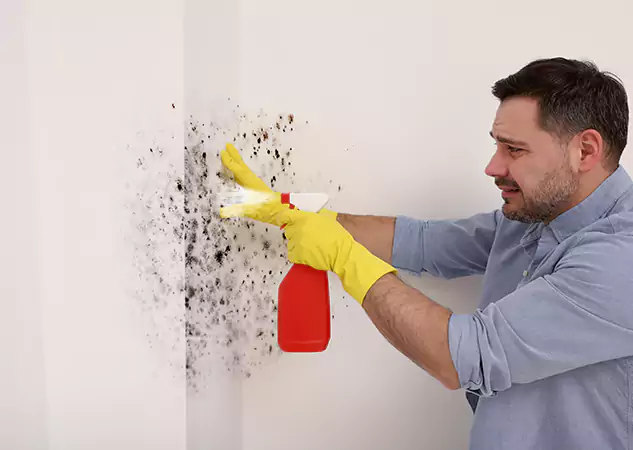 Your Water Mold Fire Restoration Partner in Lovejoy, GA