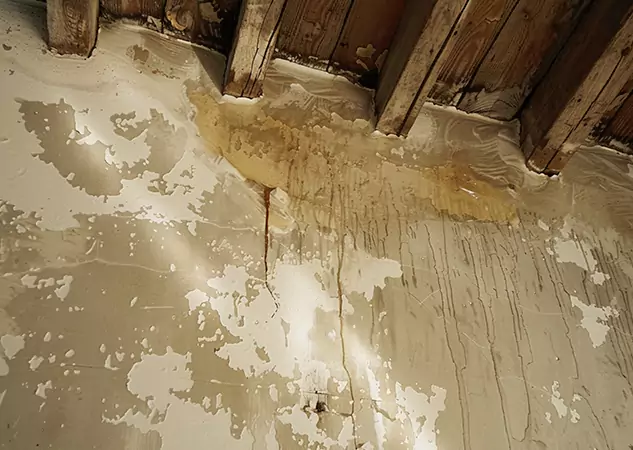 Your Trusted Restoration Company in Lovejoy, GA