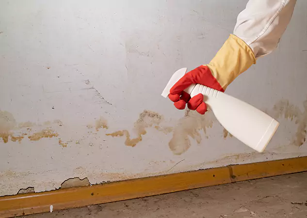 Your Water Restoration and Mold Remediation Specialists in Lovejoy, GA