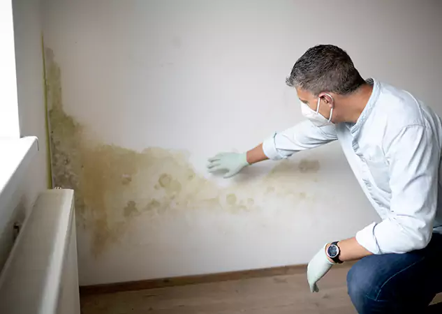 Reach Our Remediation Team Before Damage Grows in Lovejoy, GA!