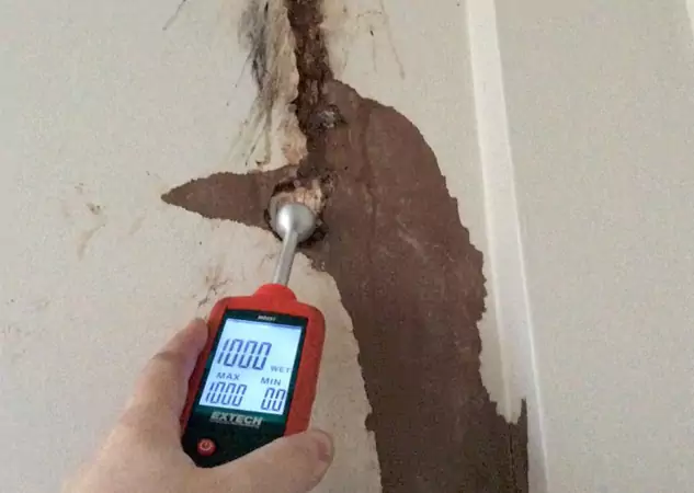 Your Water Damage Assessment Partner in Lovejoy, GA
