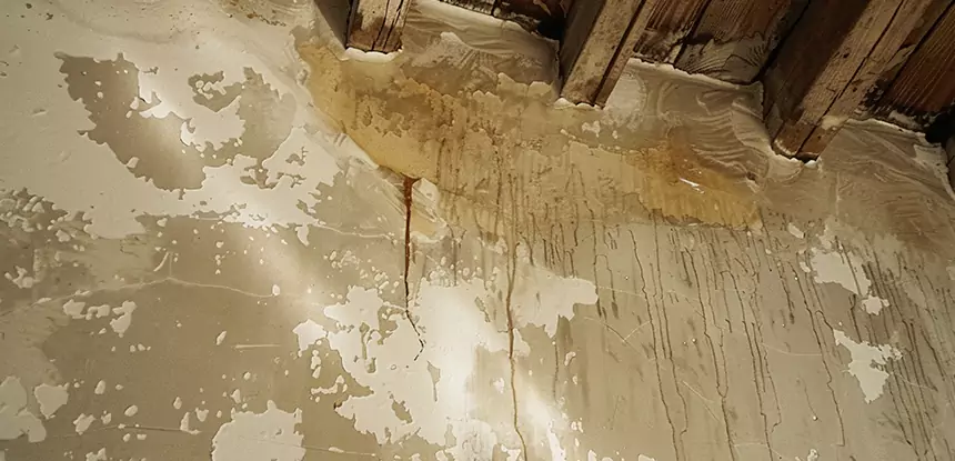 Professional Attic Water Damage Repair Services in Lovejoy, GA