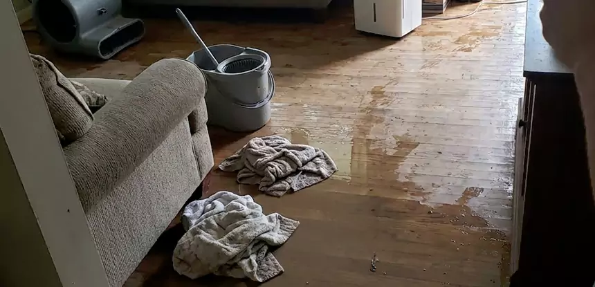 Professional Basement Water Remediation Services in Lovejoy, GA