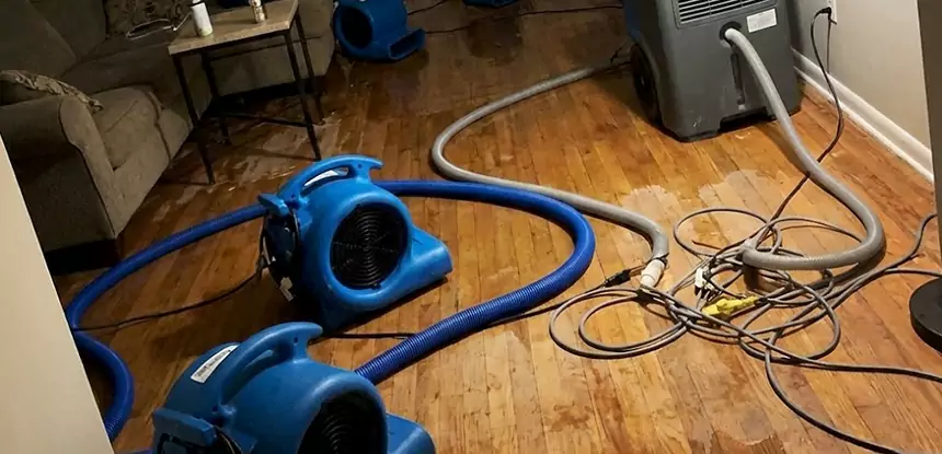 Basement Flood Restoration Services in Lovejoy