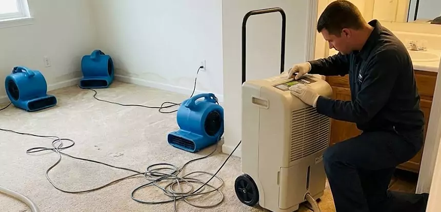 Water Damage Restoration in Lovejoy