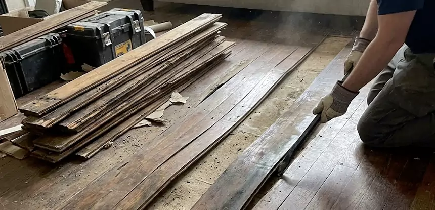 Wood Rot and Fungus Repair in Lovejoy