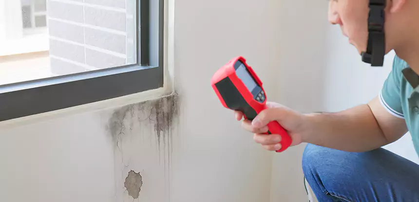Wall Texture Repair After Mold in Lovejoy