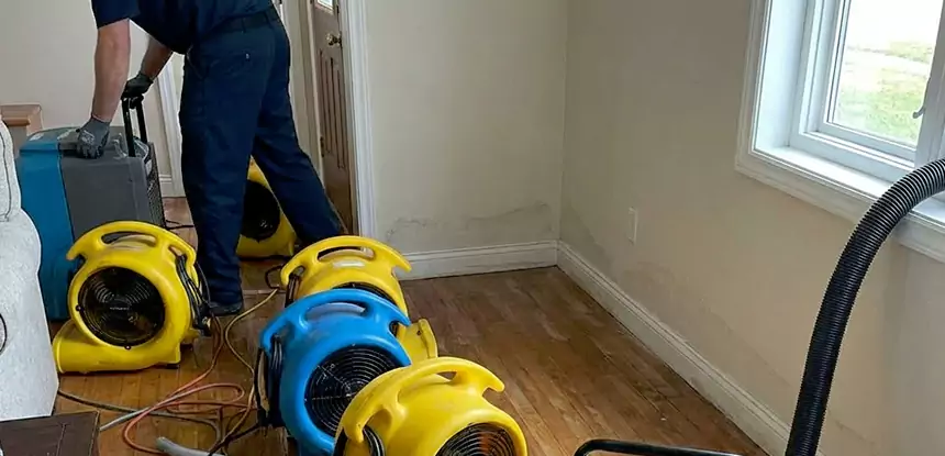 Residential Water Extraction Services in Lovejoy