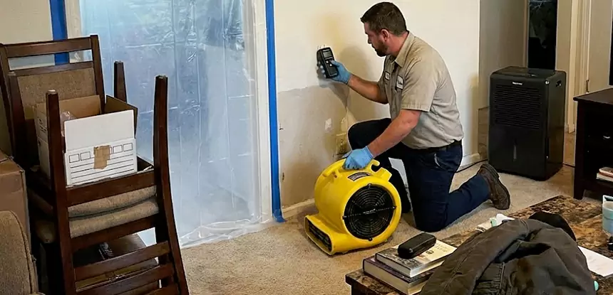 Carpet Water Damage Repair Lovejoy