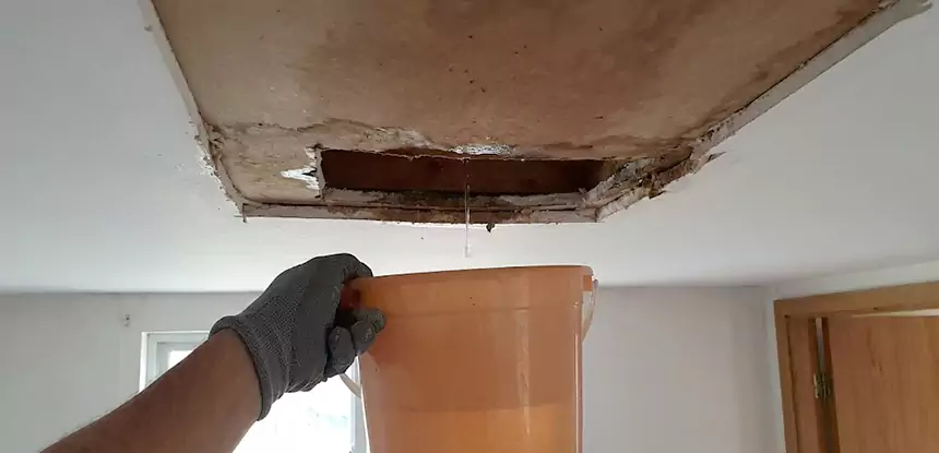 Ceiling Mold Repair Lovejoy