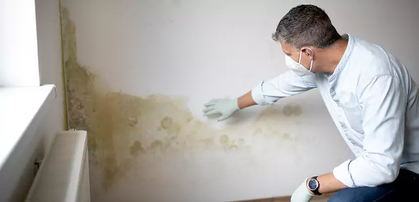 Mold and Water Damage Repair in Lovejoy