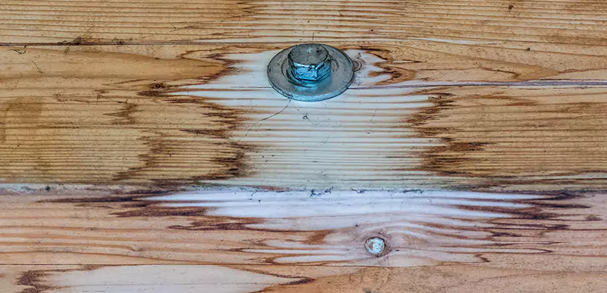 Fixing Water Marks on Wood in Lovejoy
