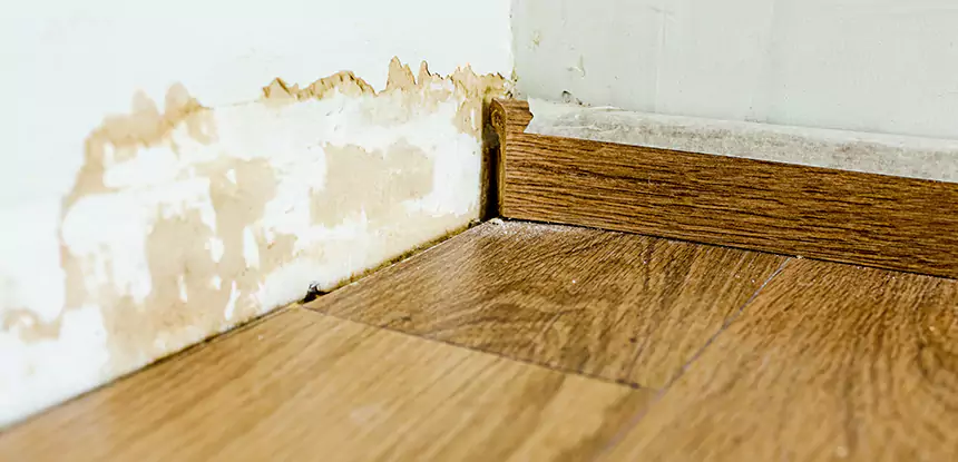 Professional Fix Water Damaged Wood Services in Lovejoy, GA