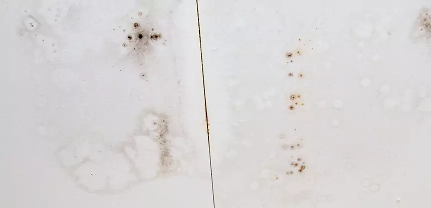 Professional Water Stain Repair Services in Lovejoy, GA