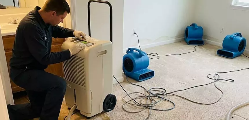 Professional Wet Carpet Removal Services in Lovejoy, GA