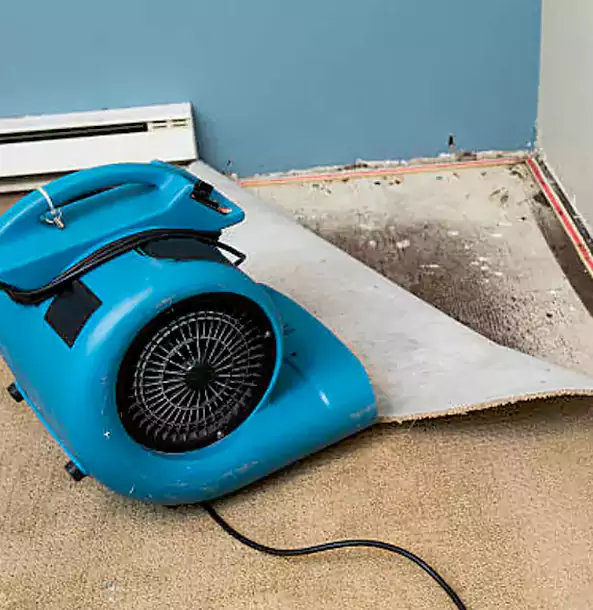 Why Lovejoy Trusts Lovejoy Restoration Pro for Carpet Flood Recovery?