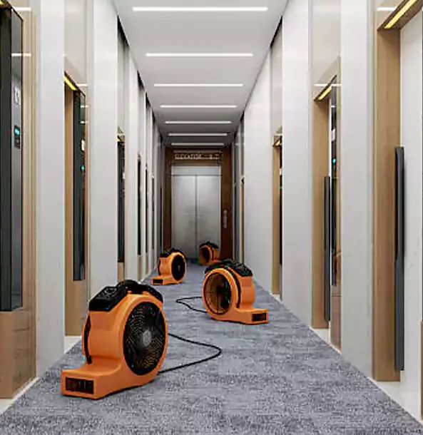 Why Lovejoy Trusts Lovejoy Restoration Pro?
