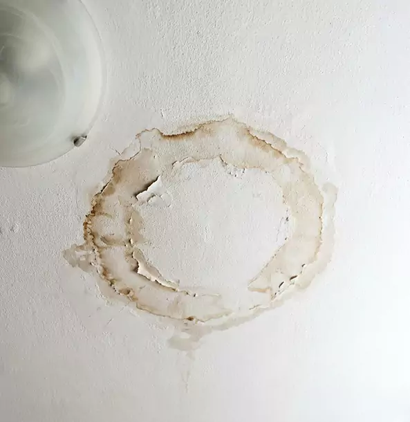 Why Lovejoy Property Owners Choose Lovejoy Restoration Pro for Ceiling Water Damage Restoration?