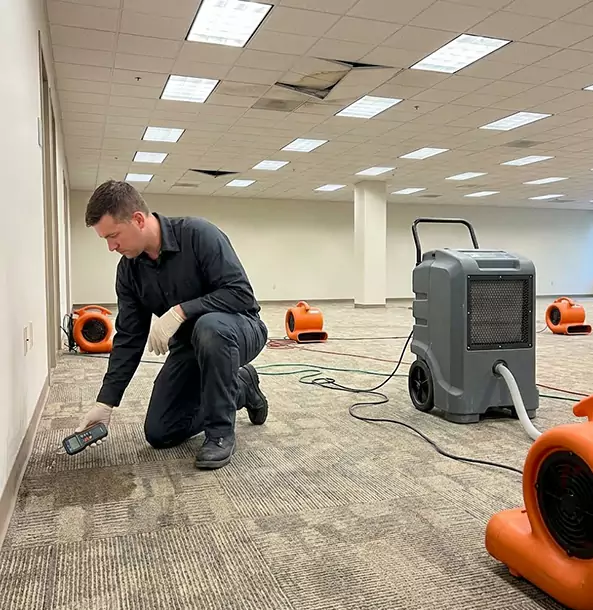Why Lovejoy Businesses Choose Lovejoy Restoration Pro for Water Cleanup?