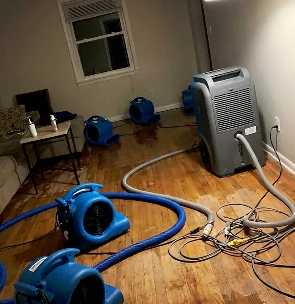Why Lovejoy Calls Lovejoy Restoration Pro First for Emergency Restoration?