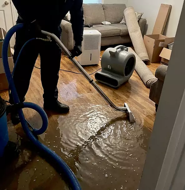 Why Lovejoy Trusts Lovejoy Restoration Pro for Flood Cleanup?