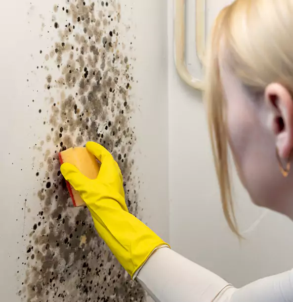 Why Lovejoy Restoration Pro Leads Mold Remediation in Lovejoy?