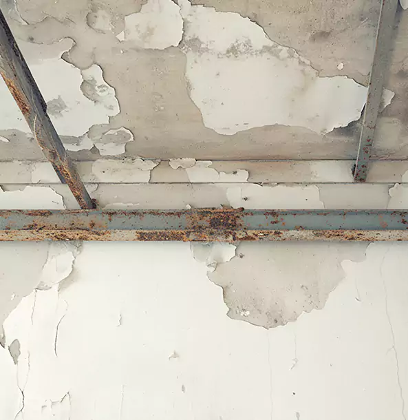 Why Lovejoy Restoration Pro Is the Right Choice in Lovejoy, GA?
