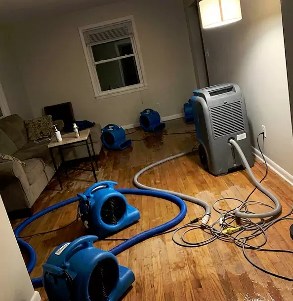 Why Lovejoy Property Owners Rely on Lovejoy Restoration Pro for Remediation?