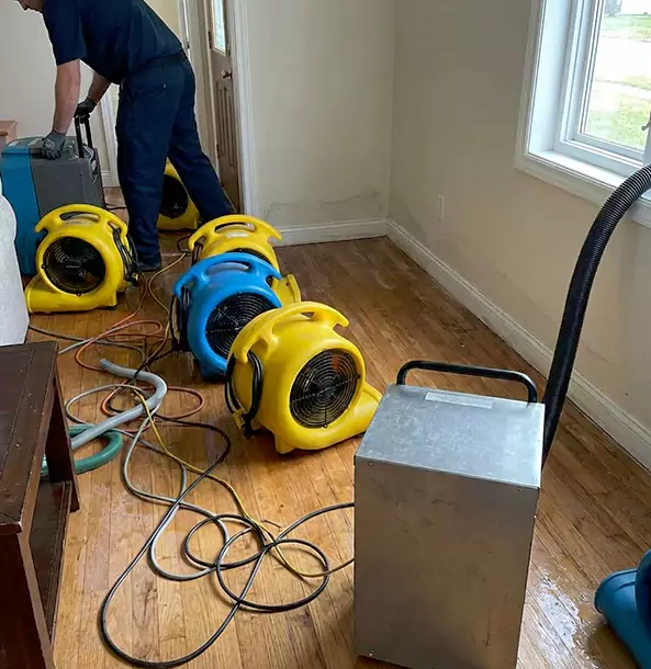 Why Lovejoy Property Owners Choose Lovejoy Restoration Pro for Remediation?