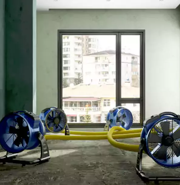 Why Lovejoy Property Owners Trust Lovejoy Restoration Pro for Water Damage Drying?