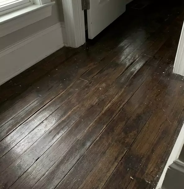 Why Lovejoy Homeowners Trust Lovejoy Restoration Pro to Fix Water Damaged Wood?