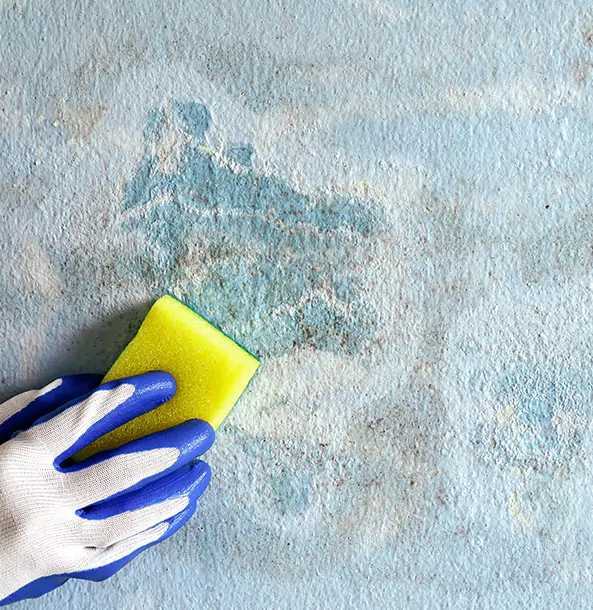Why Lovejoy Restoration Pro Is the Right Choice in Lovejoy, GA?