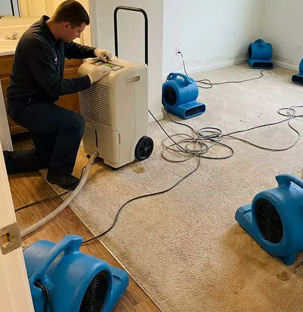 Why Lovejoy Homeowners and Businesses Trust Lovejoy Restoration Pro for Carpet Drying?