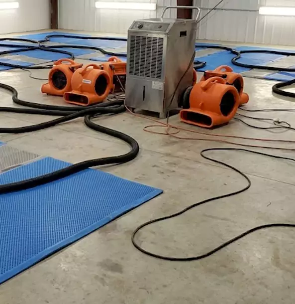 Why Lovejoy Homeowners and Businesses Choose Lovejoy Restoration Pro for Wet Carpet Removal?
