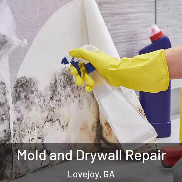  Mold and Drywall Repair Lovejoy, GA