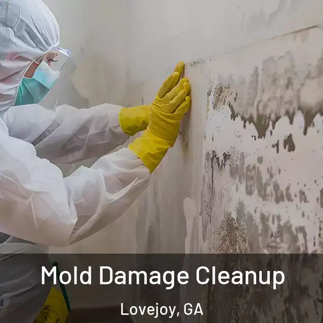  Mold Damage Cleanup Lovejoy, GA