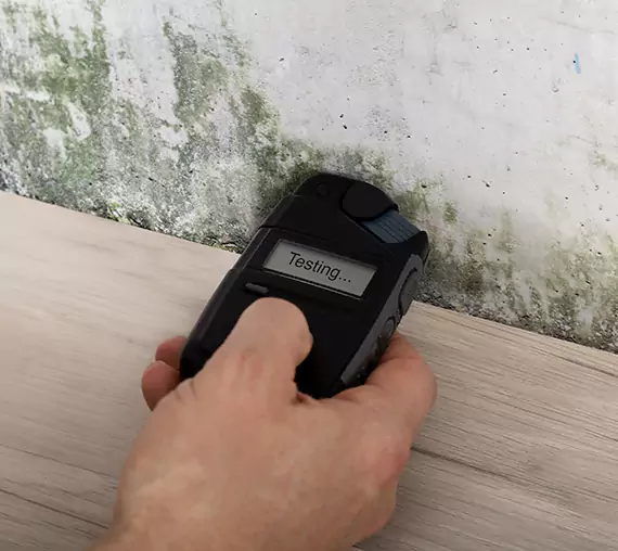 Mold Remediation Service Lovejoy