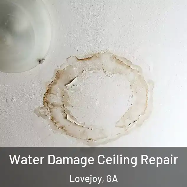  Water Damage Ceiling Repair Lovejoy, GA