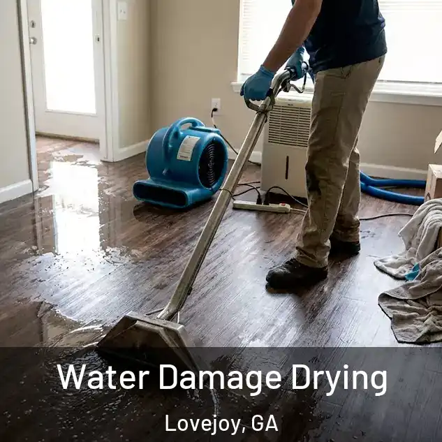  Water Damage Drying Lovejoy, GA
