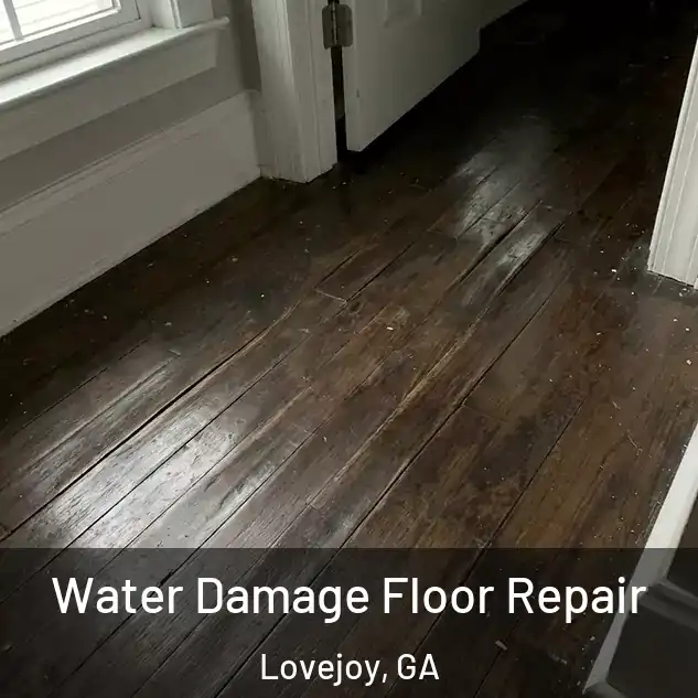  Water Damage Floor Repair Lovejoy, GA