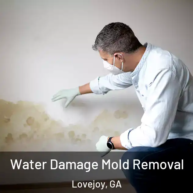  Water Damage Mold Removal Lovejoy, GA