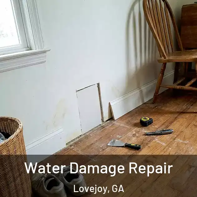  Water Damage Repair Lovejoy, GA
