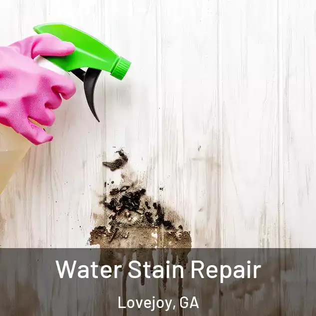  Water Stain Repair Lovejoy, GA