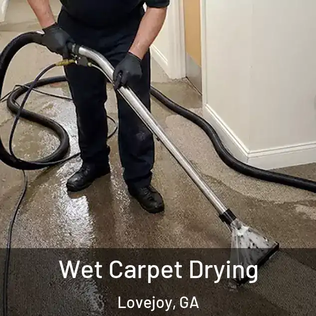  Wet Carpet Drying Lovejoy, GA